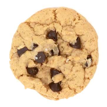 chocolate chip cookie